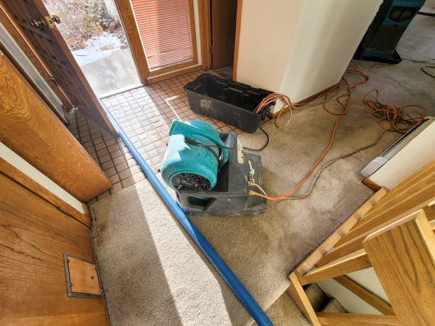 Best Basement water damage restoration  in Newton, IA