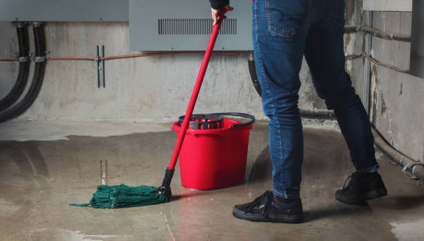 Best Emergency water damage restoration  in Newton, IA