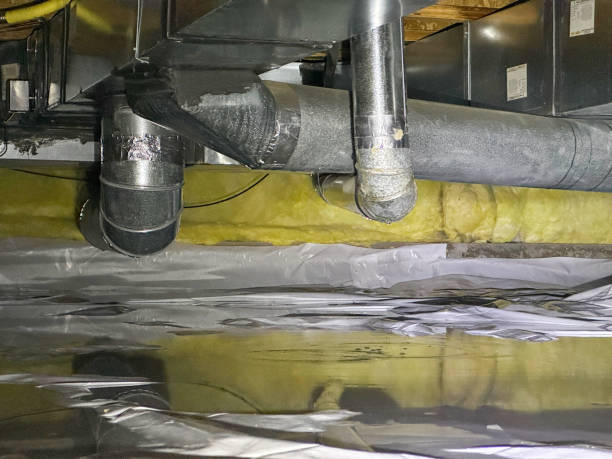 Best Water damage restoration experts  in Newton, IA